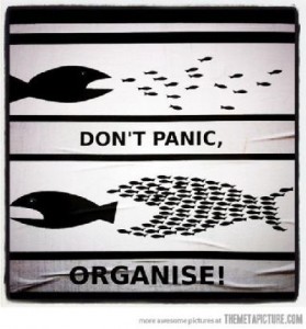 organise